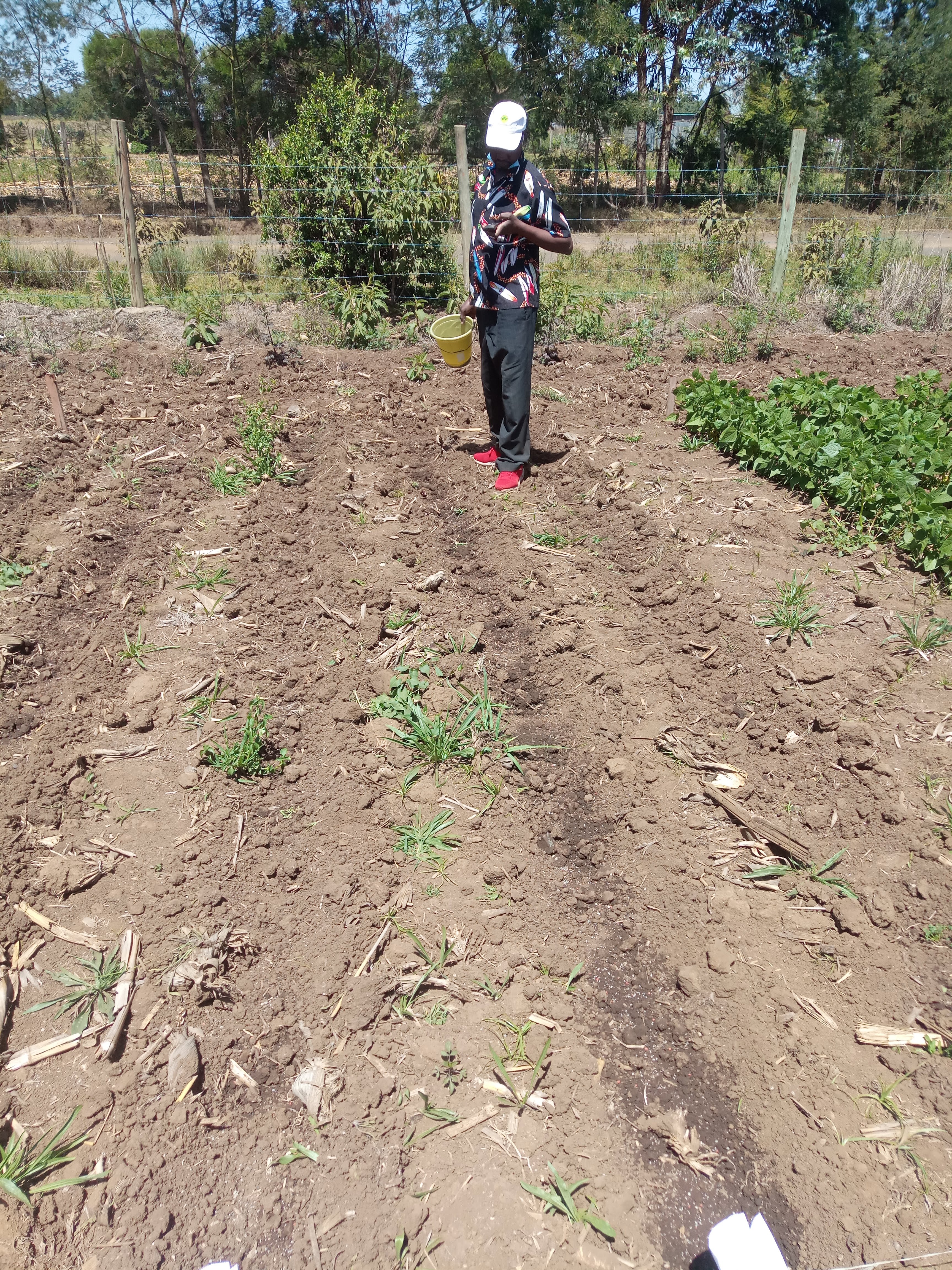 Gideon Mwanzo Oloitoktok Farmer